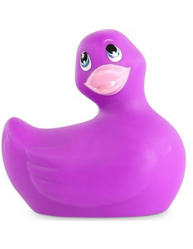 CANARD VIBRANT CLASSIC PURPLE