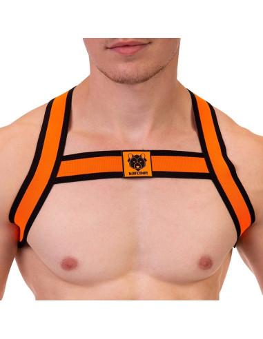 Harnais élastique Colin Orange